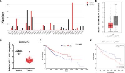 Sox15 Methylation Inhibits Cell Proliferation Through Wnt Signaling in Hepatocellular Carcinoma